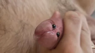 Unbeschnittener österreichischer twink wichst ruhig seinen großen s...