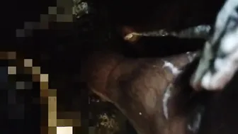 Encuentro gay en el baño con mamada de polla grande y lamida de culo