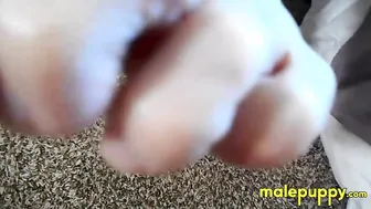 सूट पहने डैडी रिचर्ड लेनॉक्स के पैरों की पूजा की जाती है फिर फुटजॉब...