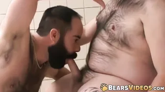 El oso daddy peludo scott cardinal se la chupan y se la follan por ...