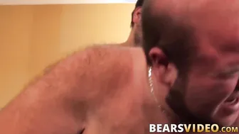 Bear couple anthony cox and tj brown trade blowjobs before bareback...