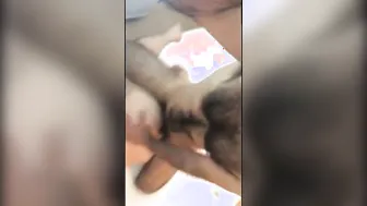Follada amateur gay a pelo con machos peludos