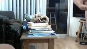 Papá plateado se masturba su polla gr...