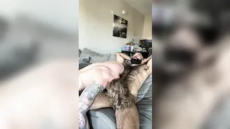 Papai peludo fode sem camisinha um passivo musculoso gostoso