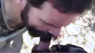 أب الدب ذو اللحية يُمصّ ويُنيك في الهواء الطلق
