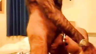 Cara amador peludo entrega uma foda anal hardcore intensa