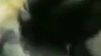 इंडोनेशियन डैडी शौकिया ग्रुप बिना कंडोम चुदाई