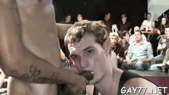 Três twinks em festa de boquete interracial