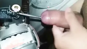 Oso asiático aguanta sesión de sounding de dos horas con cuatro cor...