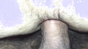 Follada anal amateur a pelo con una polla grande