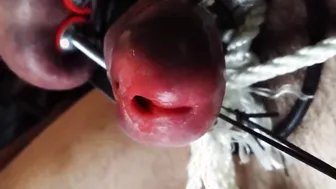 Homme solo bdsm, jeu de bite et couilles avec des pinces métallique...