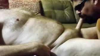 Amateur daddy deepthroats hard cock until cumshot
