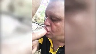 Papá oso da una mamada en la playa en las dunas