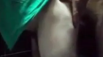 बालों वाला ट्रक ड्राइवर भालू बड़े लंड से बिना कंडोम के बाहर चोदता है