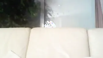 Joven blanco musculoso se coge a pelo culo negro redondo casero
