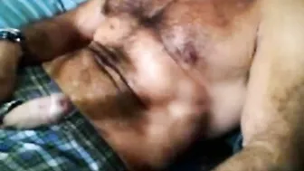 मूंछों वाले बालों वाले भालू डैडी सोलो हिलाते हैं