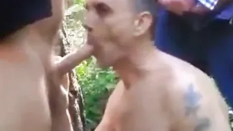 Sexo em grupo amador de ursos na floresta