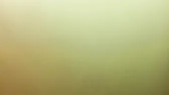 जिज्ञासु सीधा लड़का पैसे के लिए बड़ा काला लंड चूसता है