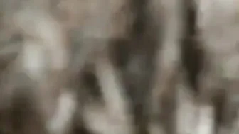 Twink bate punheta com pau grande na praia pública