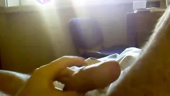 Paja matutina en serbia