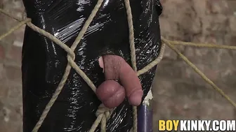 Twink atado le acarician y le hacen edging en la polla durante una ...