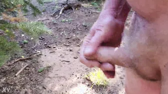 Ours poilu se branle et éjacule dans la forêt