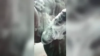 Solo男在浴室特写镜头中 pumping 他的大鸡巴