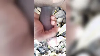 पतला परिपक्व भारतीय आदमी अपने बड़े लंड को सोलो सेशन में हिलाता है