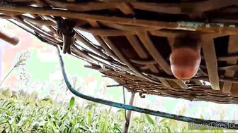 Solo twink strokes big cock outdoors in jungle setting
