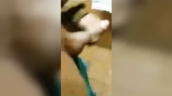 Jugoso maduro peludo se masturba la polla grande hasta una corrida ...