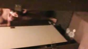 Latino-amateur mit hartem schwanz im badezimmer erwischt