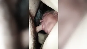 Amateur bear takes his time giving a slow sensual blowjob