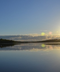 fertozia