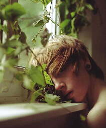 thomhy